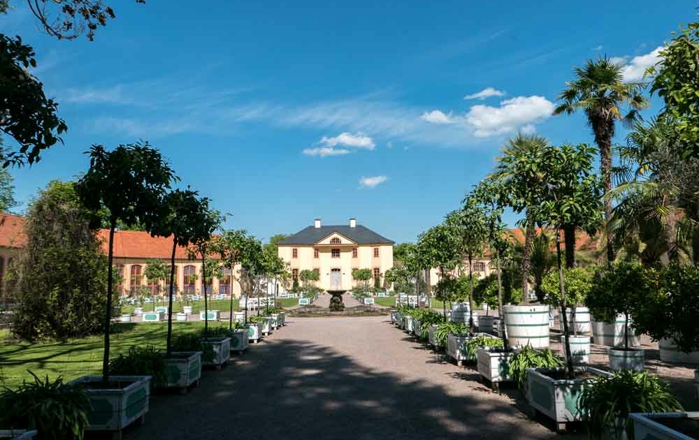 Schlosspark und Orangerie von Schloss Belvedere Weimar